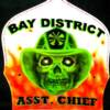 BAY DISTRICT FIRE HELMET  SHIELD