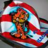 painted Custom Fire Helmet tiger