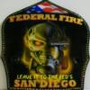 Painted fedral fire helmet shield